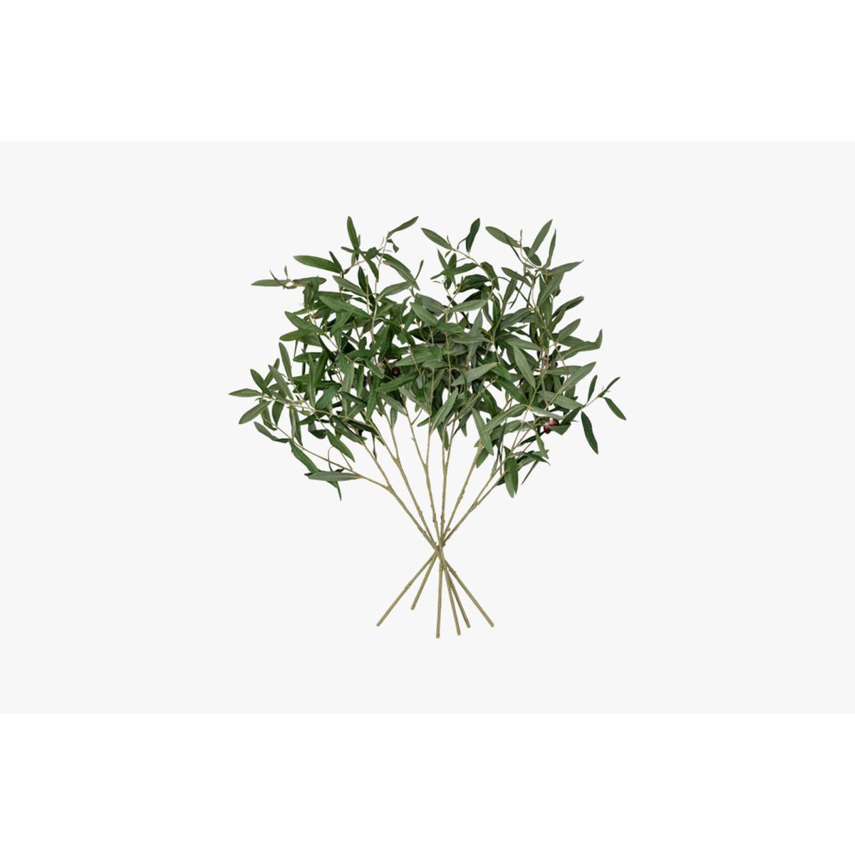 Solana Faux Olive Branch in Green Set of Six – image 3