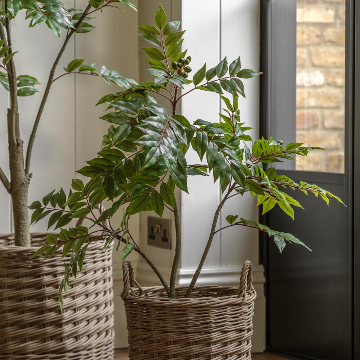 Faux Chinese White Olive Tree, Medium – image 2