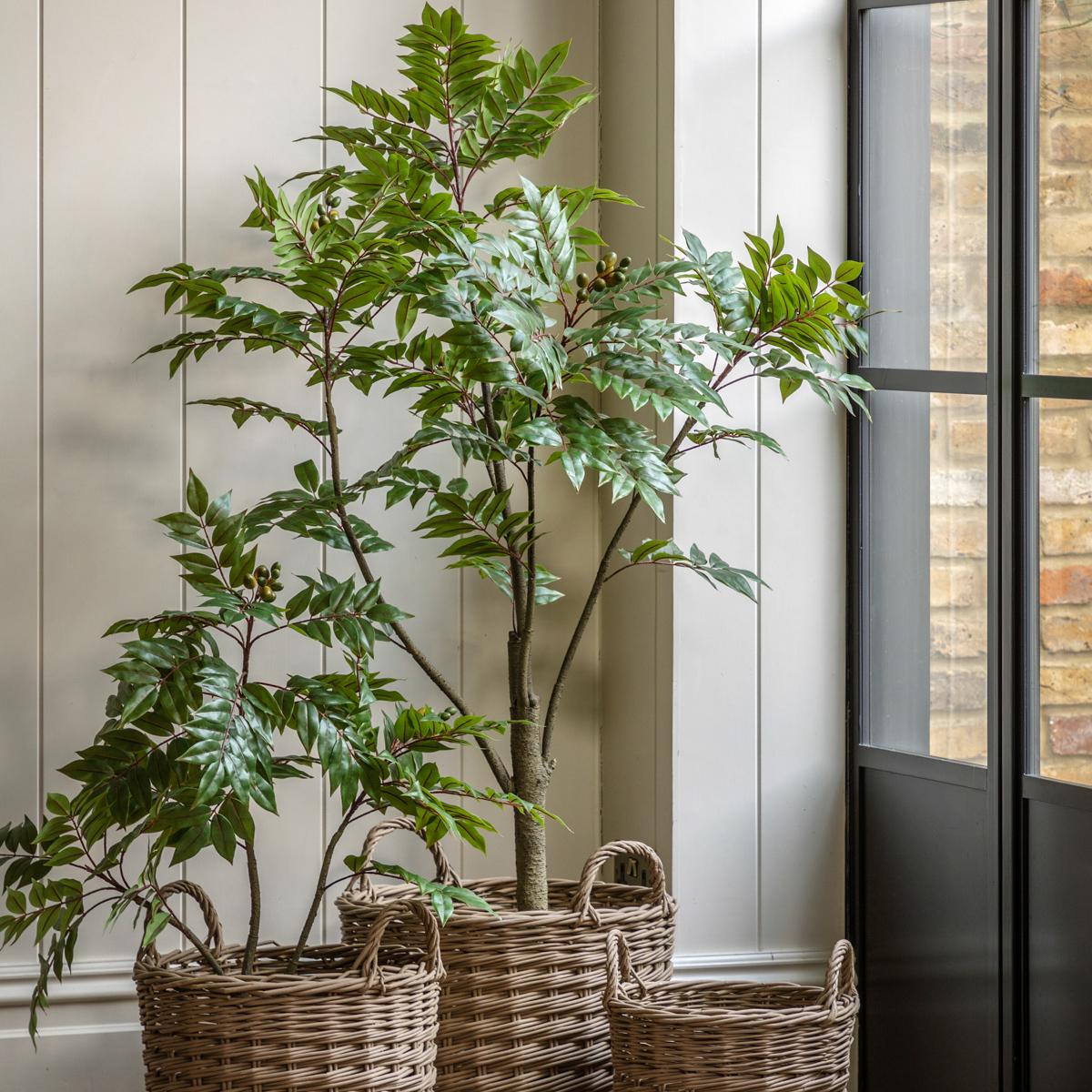 Faux Chinese White Olive Tree, Medium – image 3