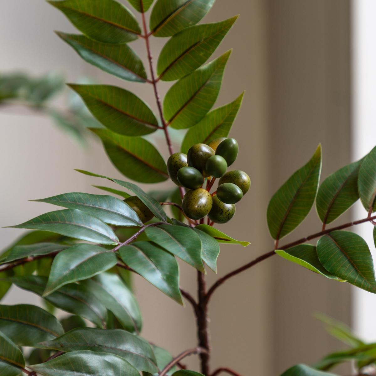Faux Chinese White Olive Tree, Medium – image 4