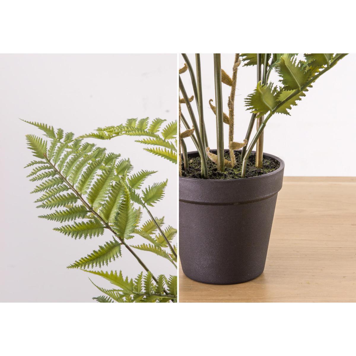 Faux Potted Fern Bracken, Large – image 3