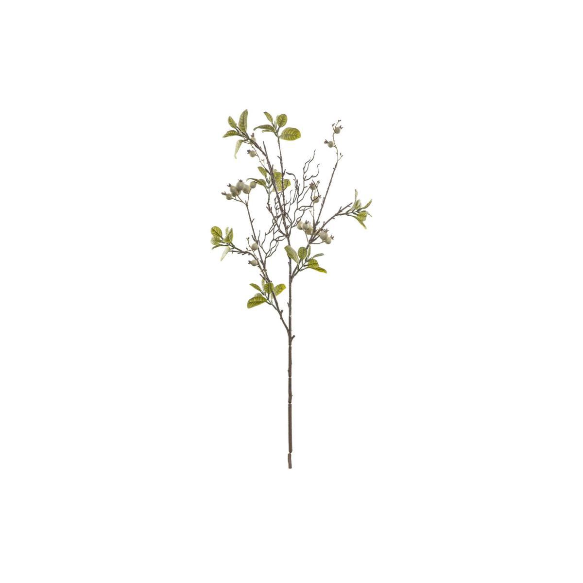 Lazni Green Berry Stem, Set of Three – image 2