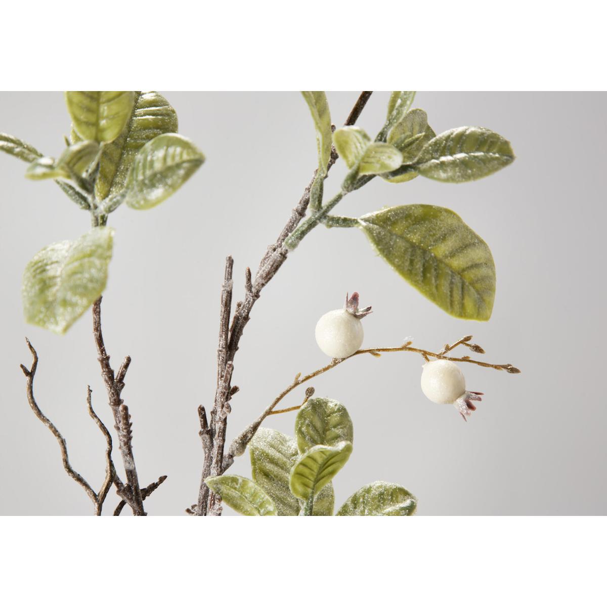 Lazni Green Berry Stem, Set of Three – image 4
