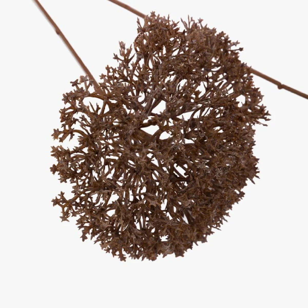 Faux Pom Pom Stems in Brown, Set of 3 – image 3