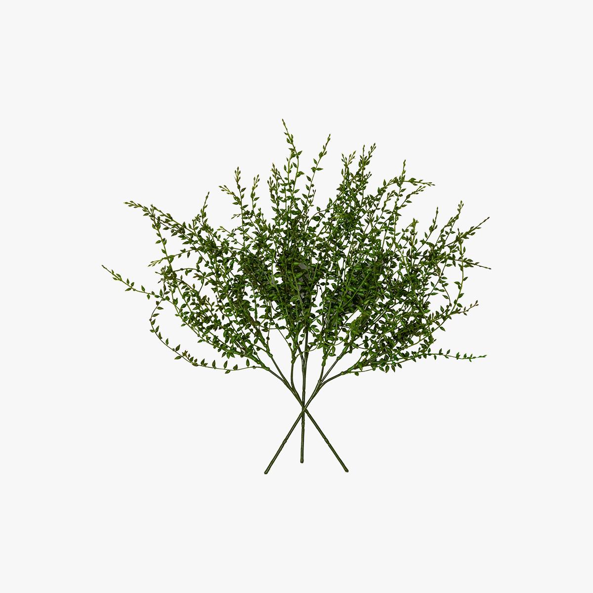 Faux Senecio Vine Stem, Set of Three – image 2