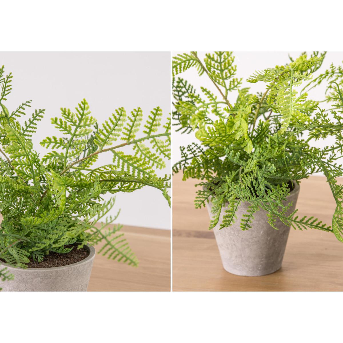 Faux Potted Ferns – image 3