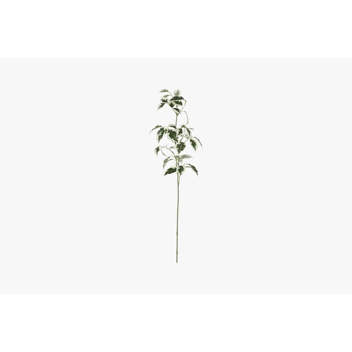 Lanzini Faux Ficus Stem in Green Set of Six – image 2