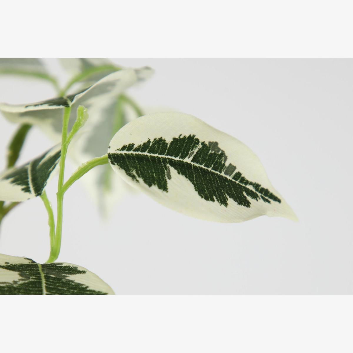 Lanzini Faux Ficus Stem in Green Set of Six – image 1