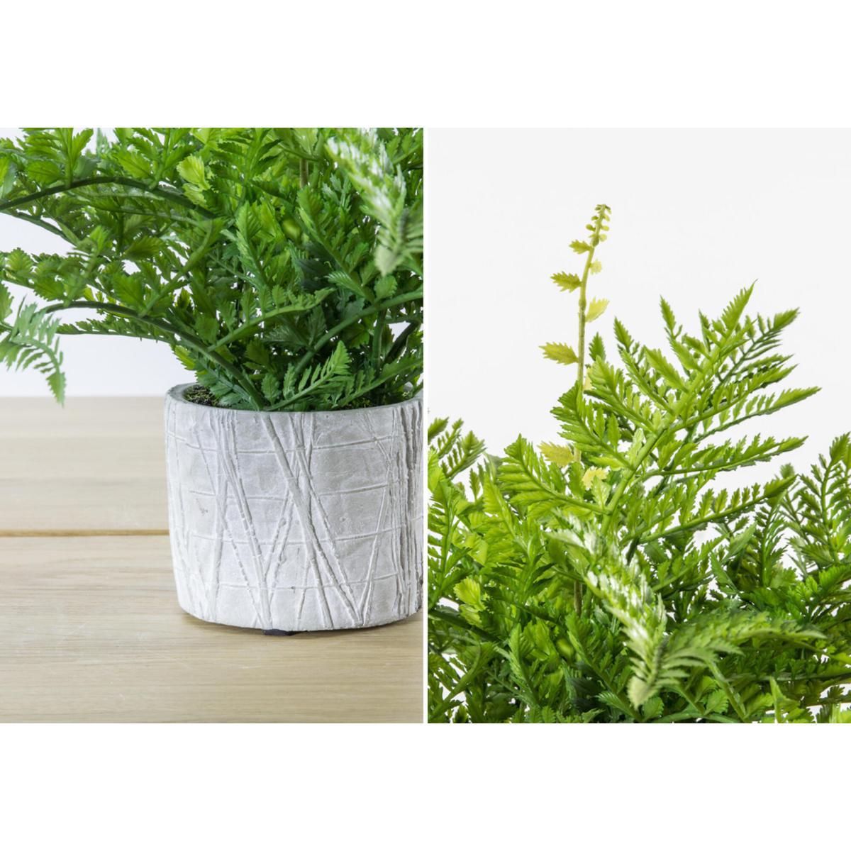 Faux Potted Fern with Textured Pot – image 3