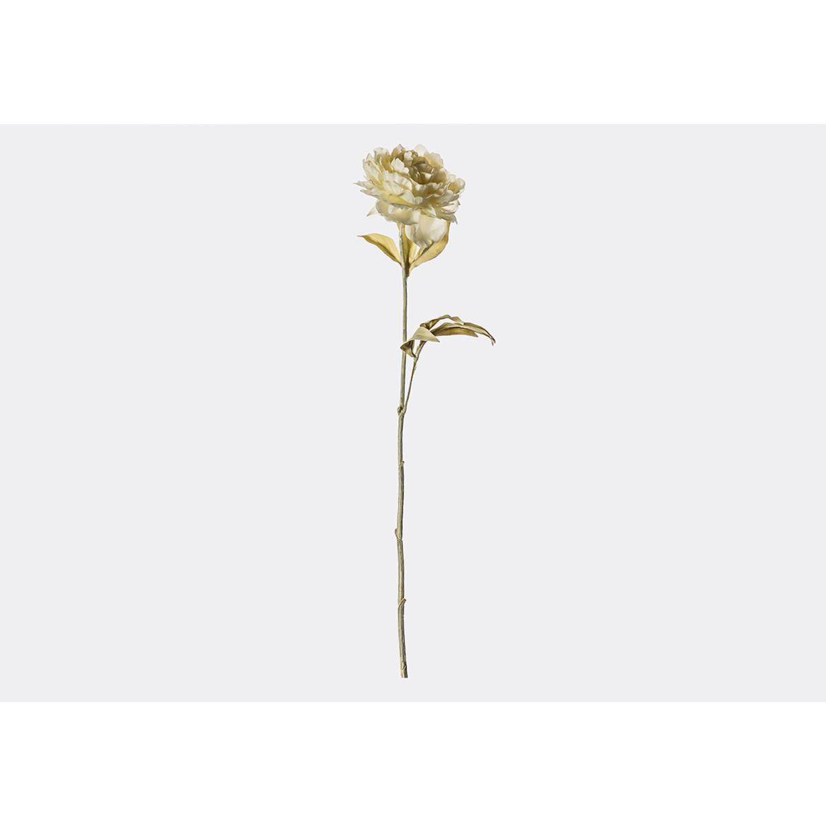 Lanzini Faux Peony Stem in Green, Set of Five – image 1