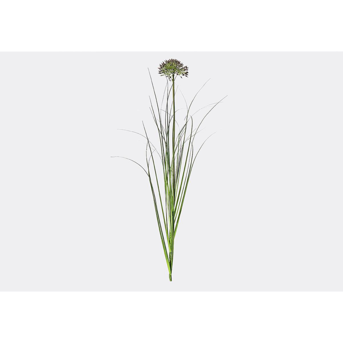 Lanzini Allium Grass Damson Spray, Set of Five – image 1