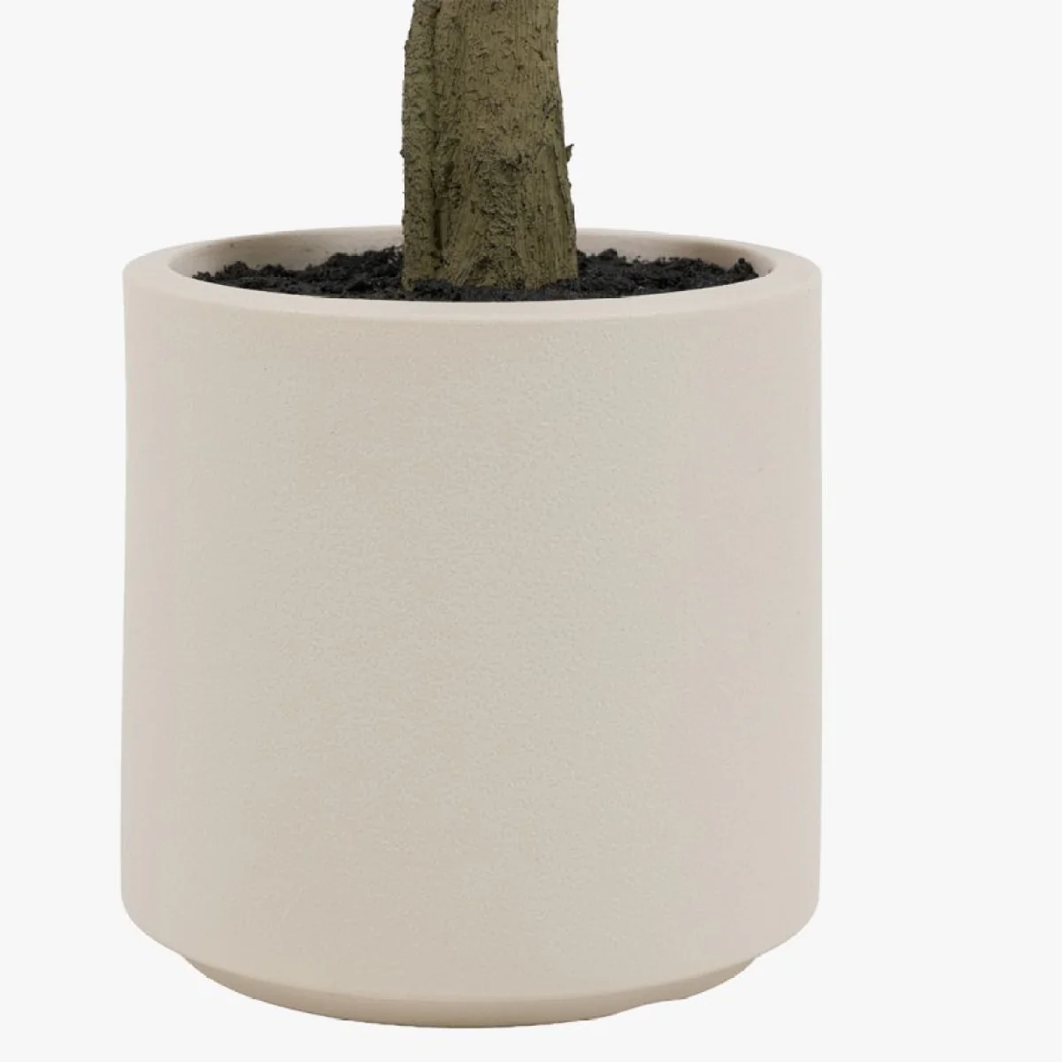 Faux Ficus in White Pot, 6 Foot – image 3