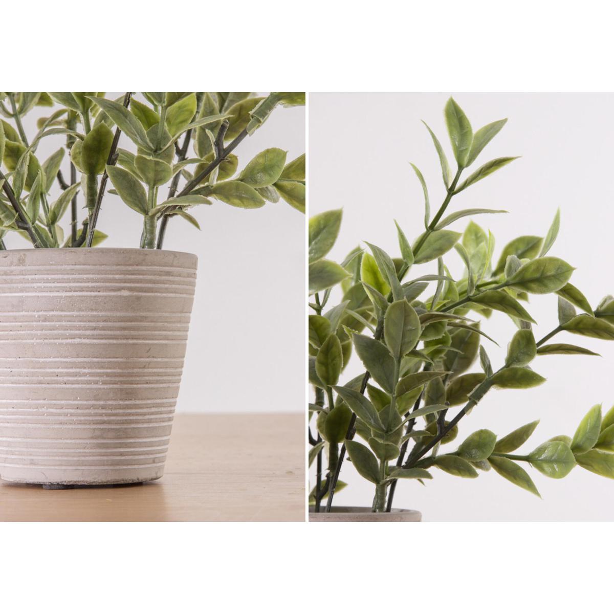 Faux Sage in Cement Pot – image 3
