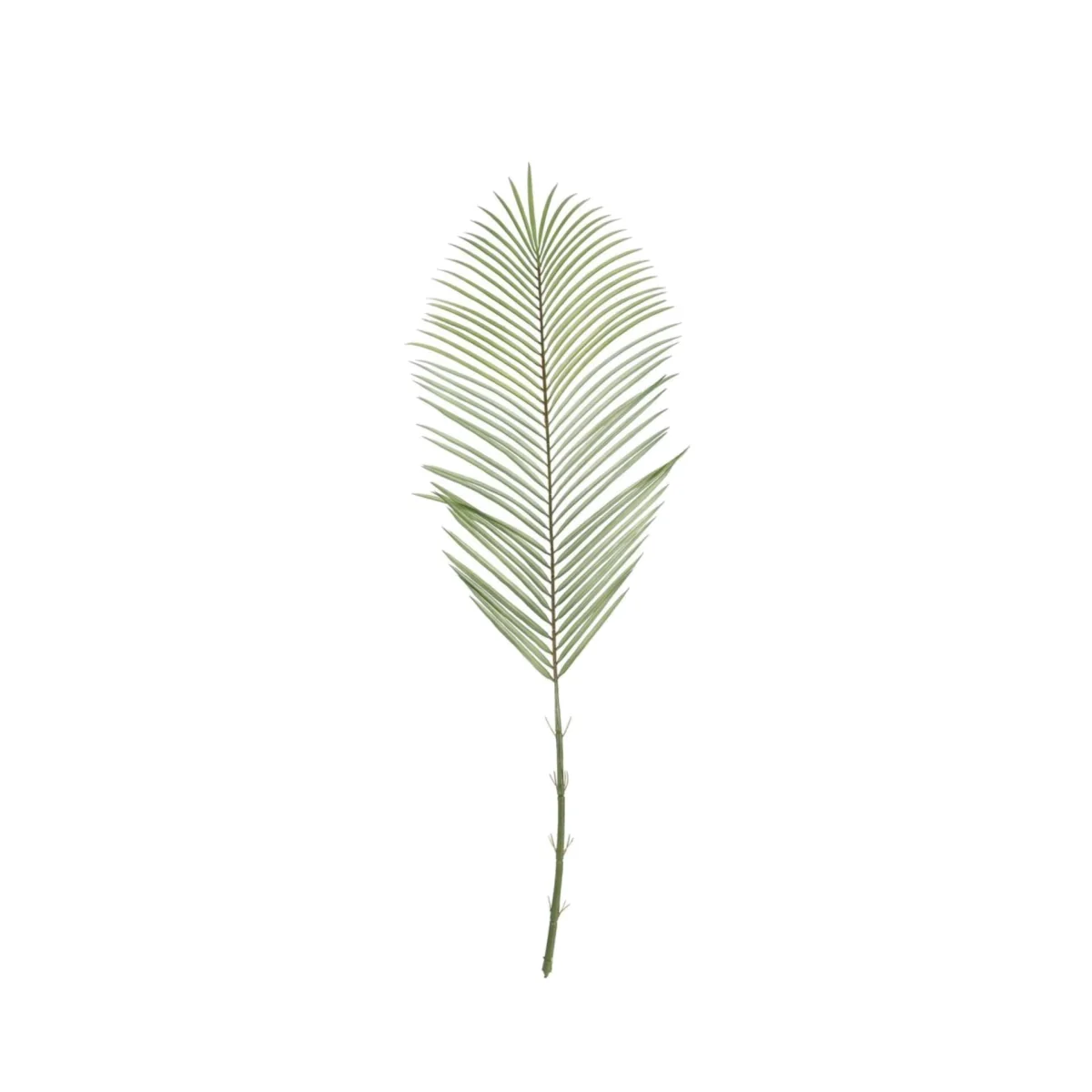 Green Areca Palm Frond Artificial Flowers - Green