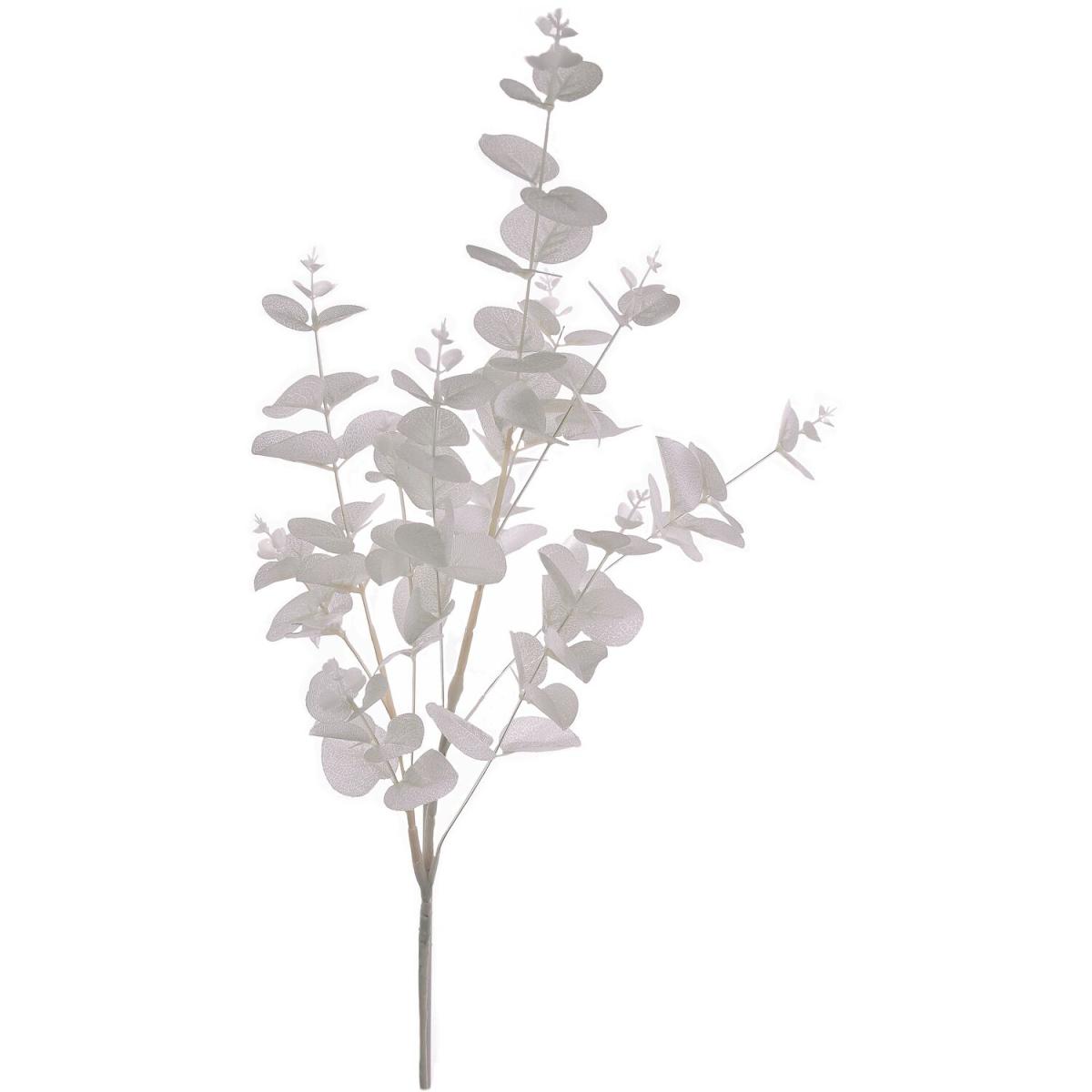 Silk White Champagne Eucalyptus – image 2