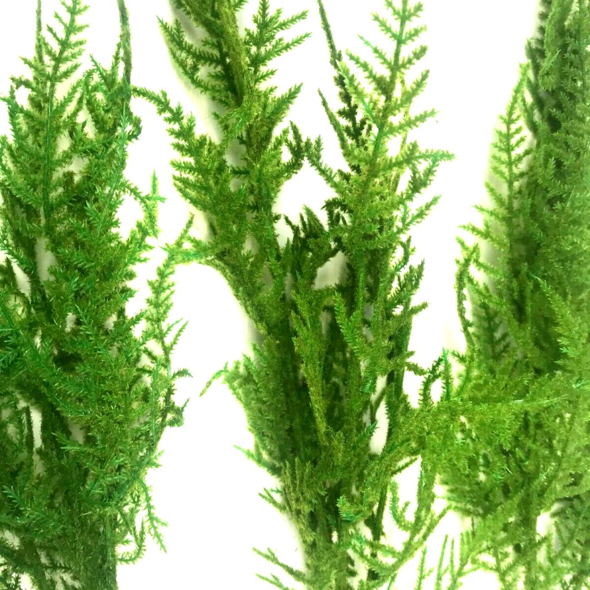 Pack of 3 Flocked Asparagus Fern Sprays Stems - Green – image 1