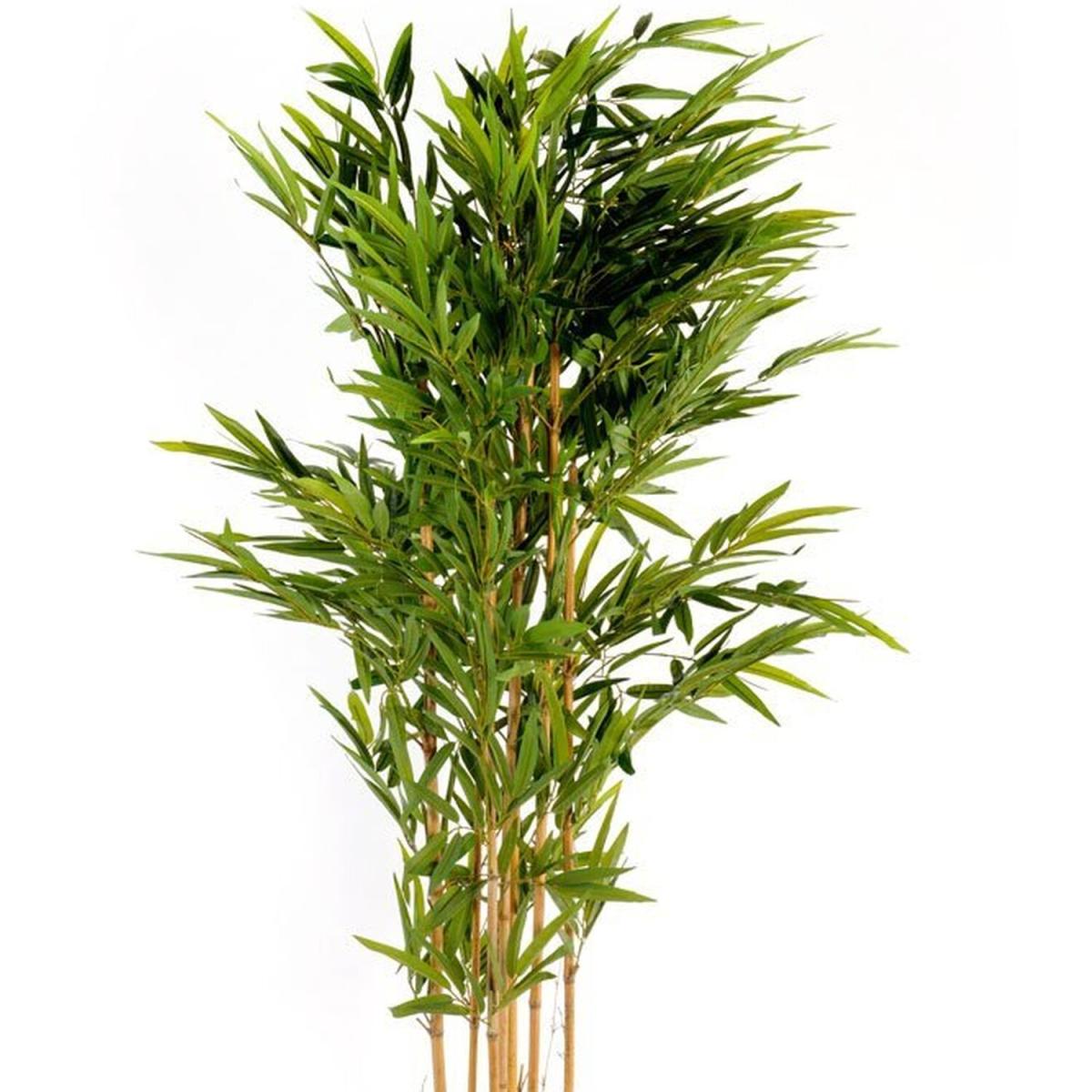 Artificial Large Bamboo Tree - Green – image 5