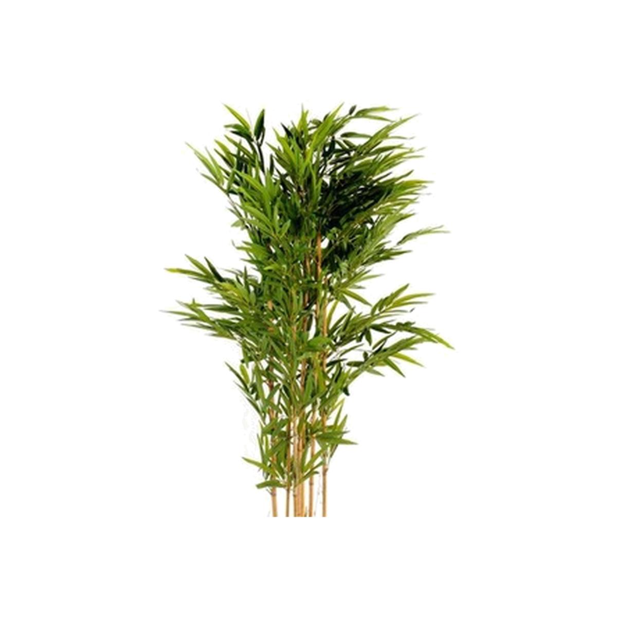 Artificial Large Bamboo Tree - Green – image 1