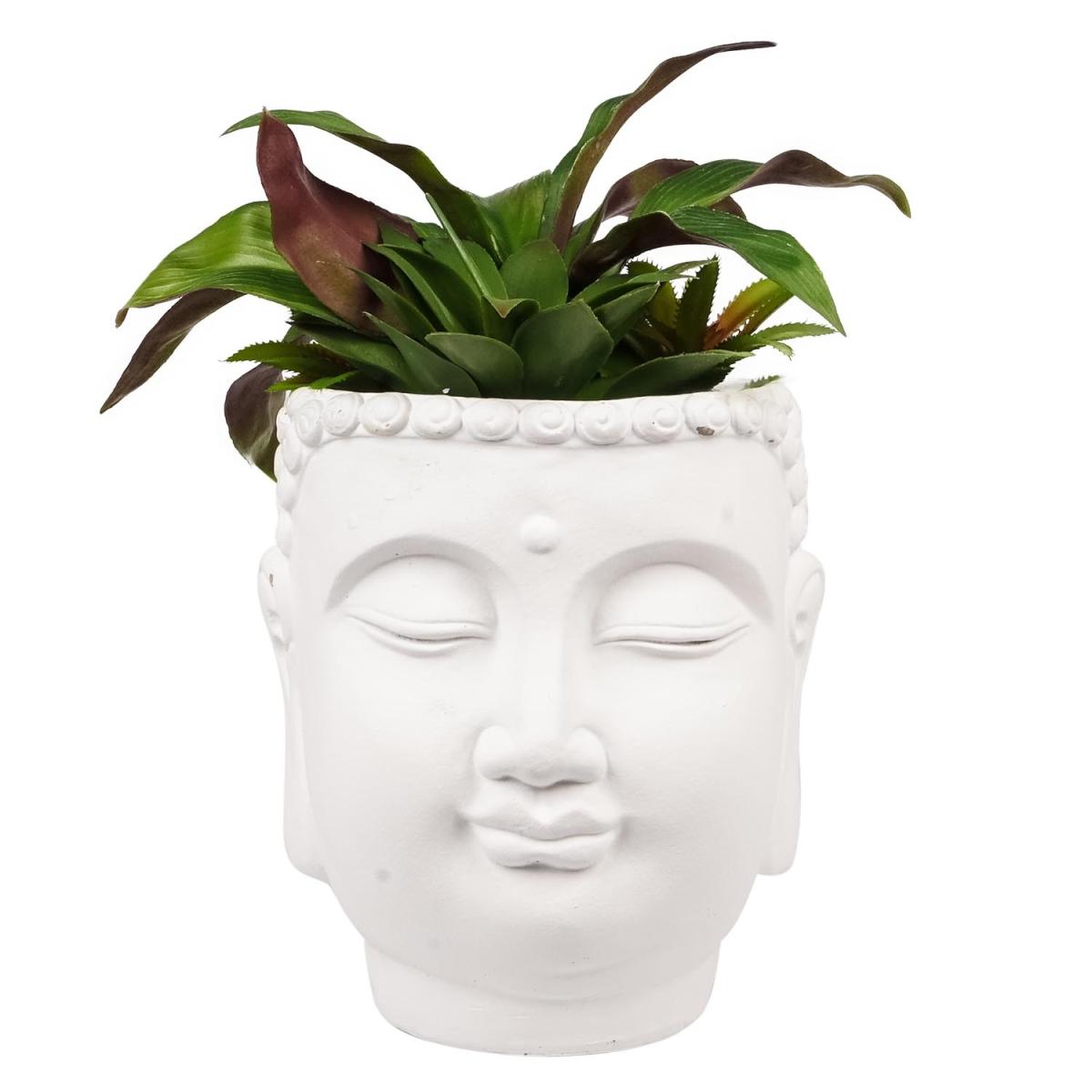 Succulent in Buddha Pot – image 2
