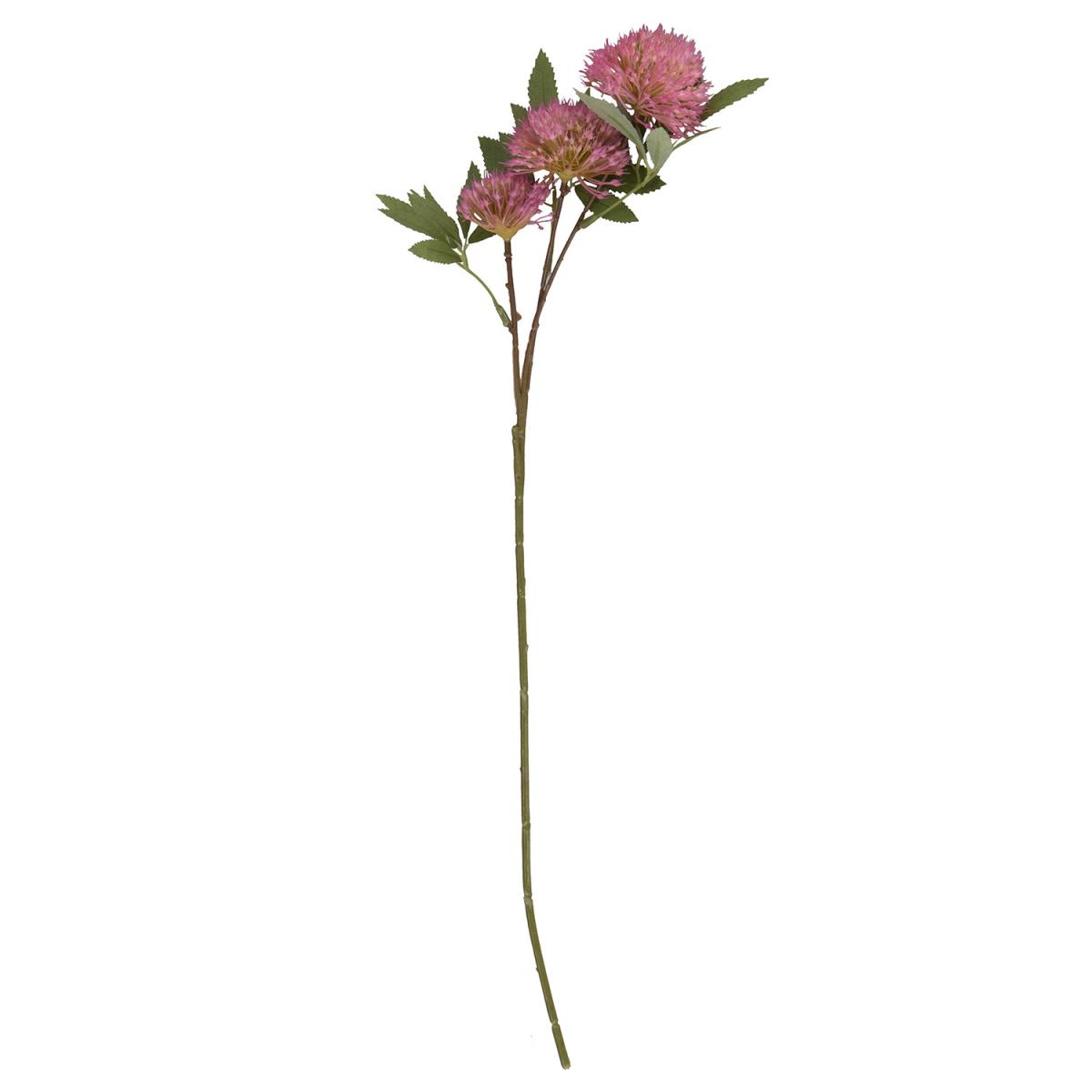 Spiky Fireball Flower - Pink – image 2