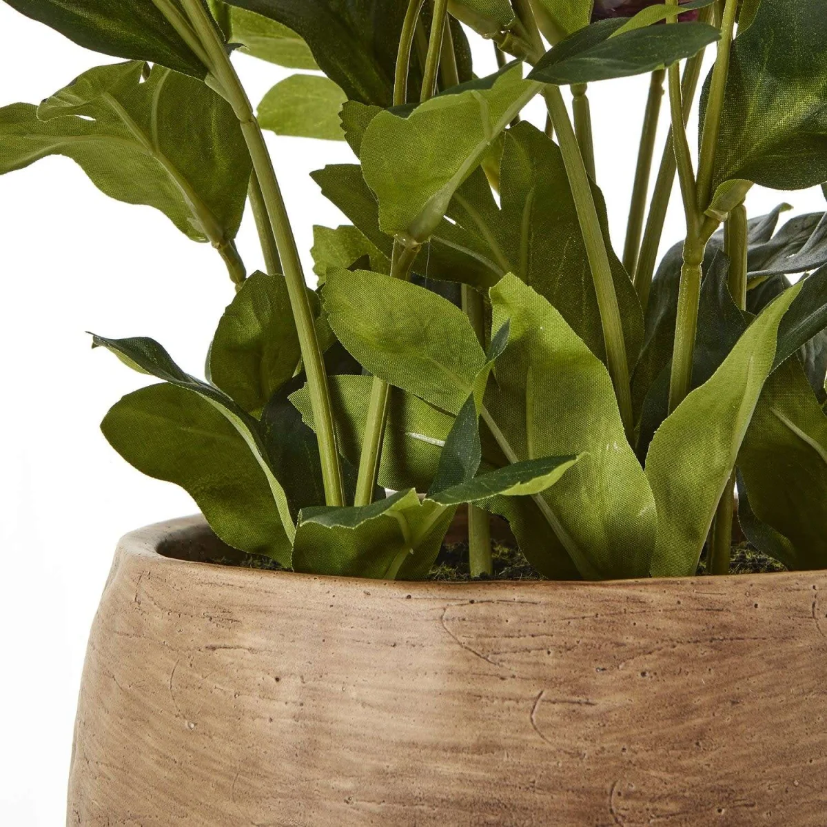 Deep Plum Hellebore Artificial Plant in Rustic Taupe Pot - Brown – image 3