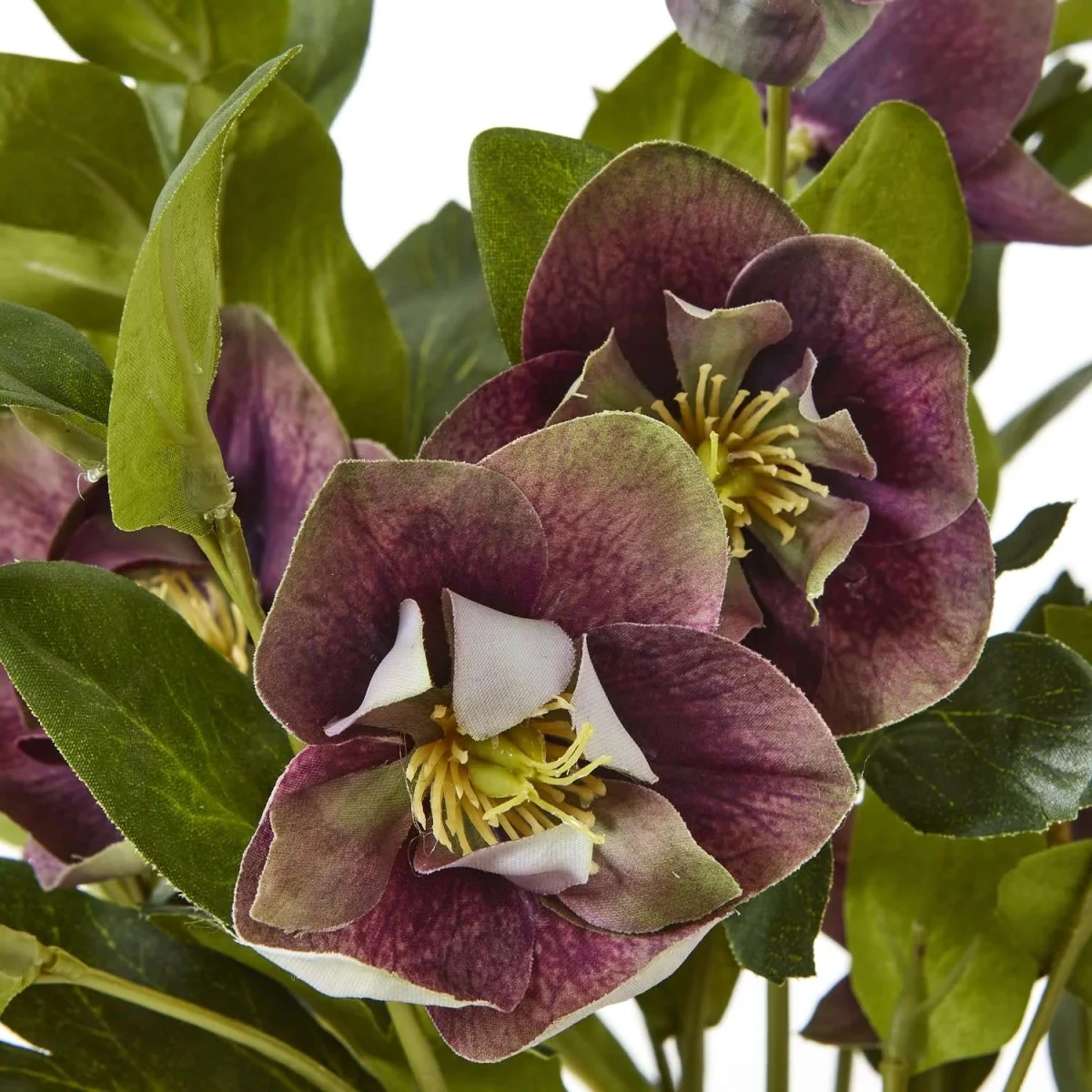 Deep Plum Hellebore Artificial Plant in Rustic Taupe Pot - Brown – image 4