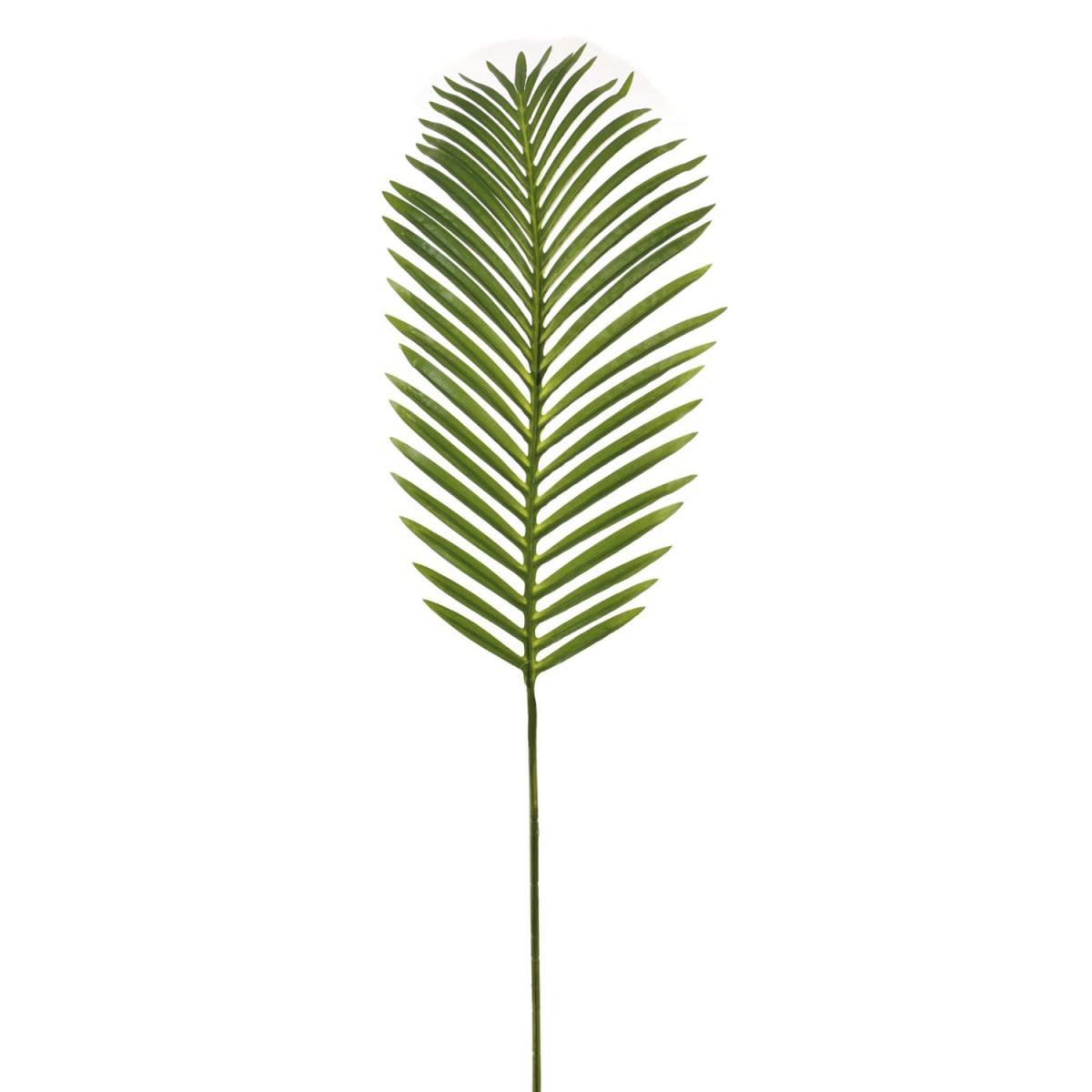 Large Tropical Fern Leaf – image 2