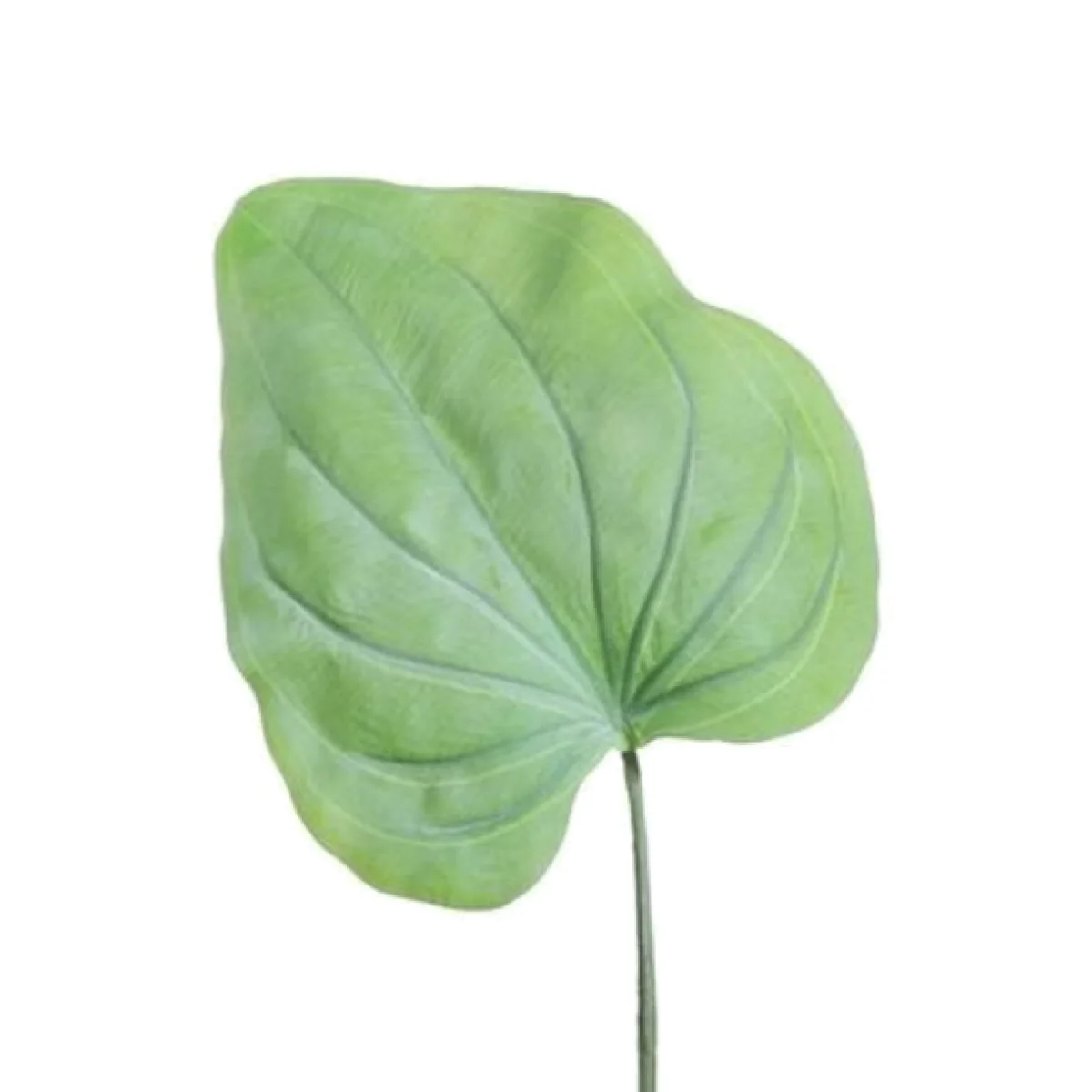 Large Hosta Leaf Green 6 Pack Artificial Flowers - Green