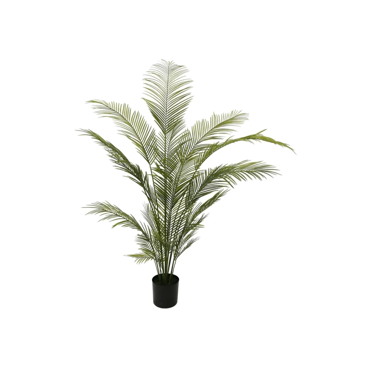 Botanica Areca Palm in Pot Green Artificial Flowers - Green