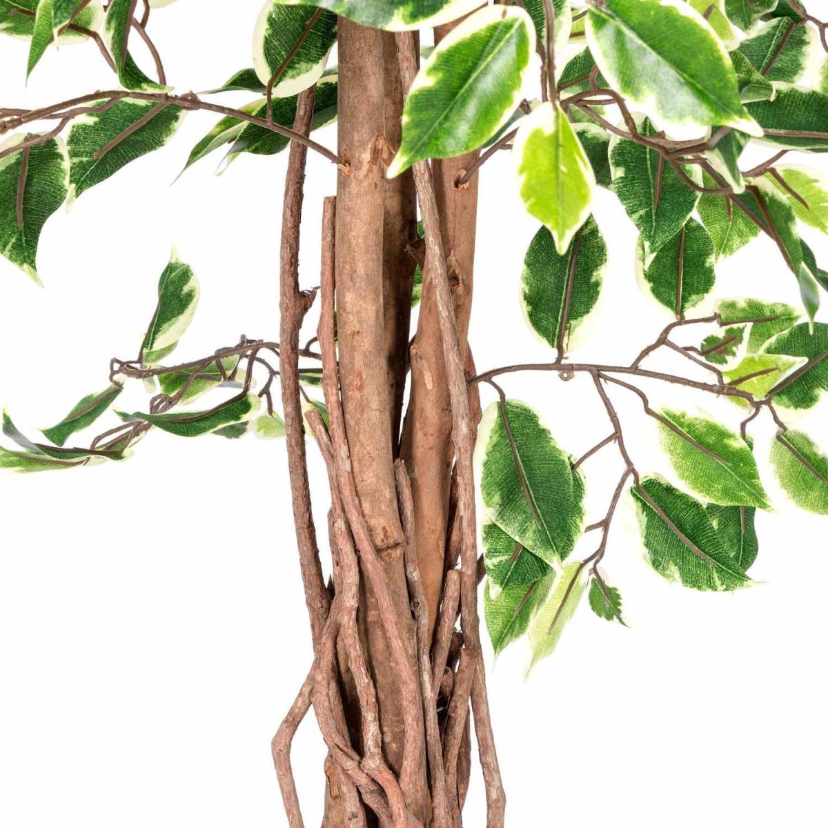 Homescapes Variegated Green Ficus Tree Artificial Plant with Twisted Trunk, 6 Ft - Green – image 5