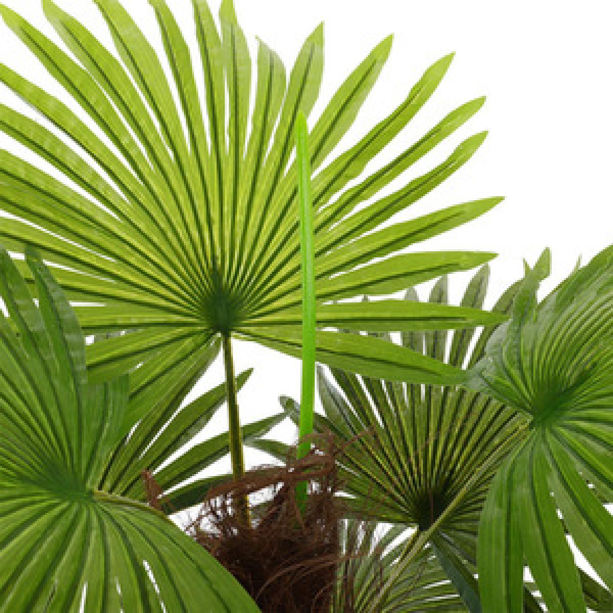 Nearly Natural Palm Tree in Pot Artificial Plant - Green / 120cm – image 8