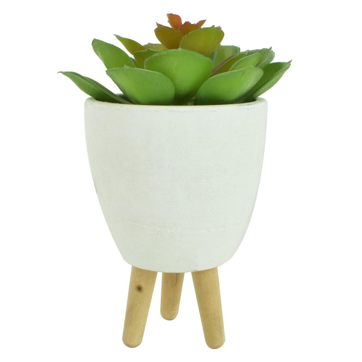 Succulent on Stand – image 2