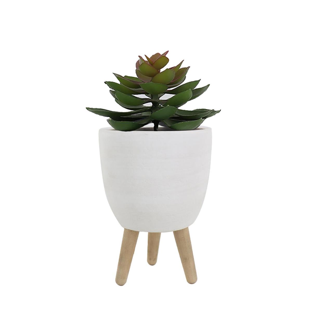 Succulent on Stand – image 3
