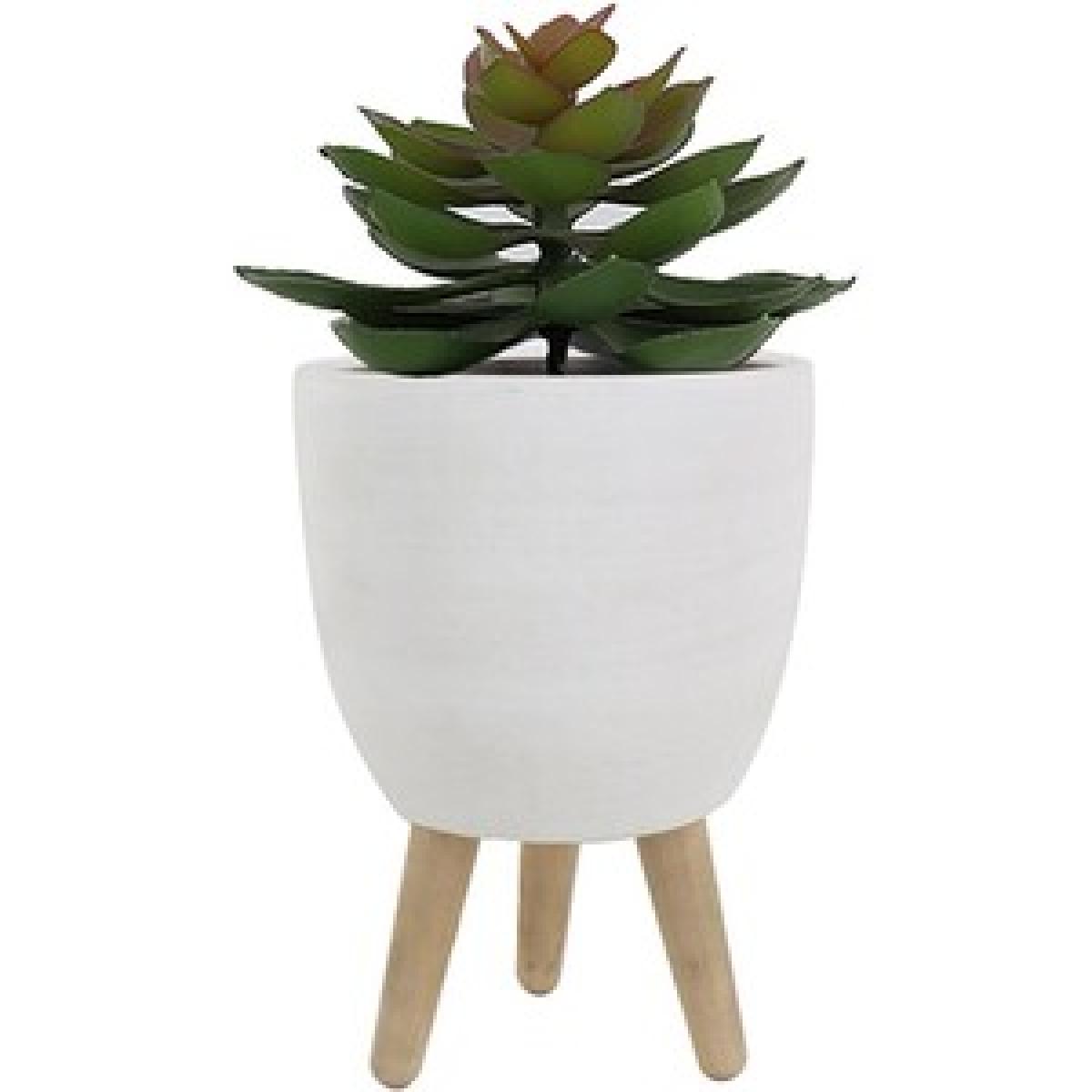 Succulent on Stand – image 4