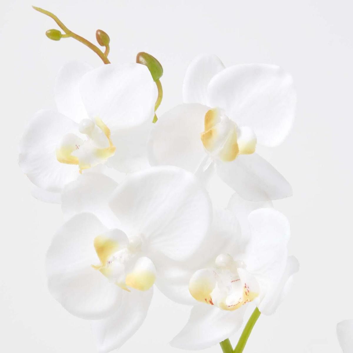 Homescapes 42cm Lifelike Artificial White Orchid in Grey Cement Pot - White – image 2