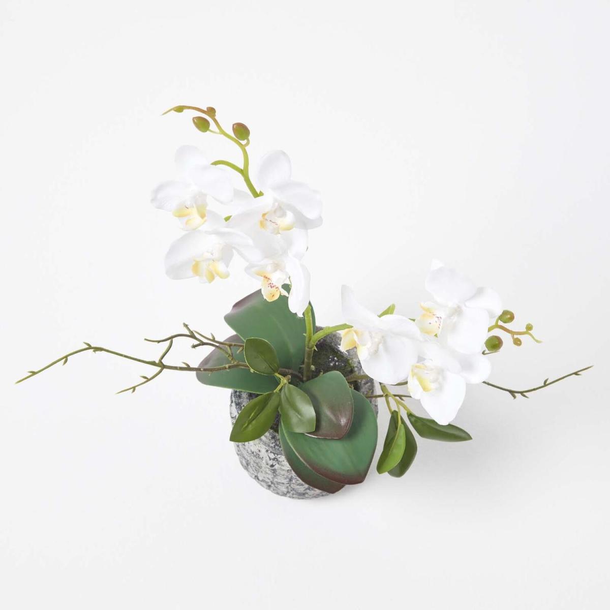 Homescapes 42cm Lifelike Artificial White Orchid in Grey Cement Pot - White – image 3