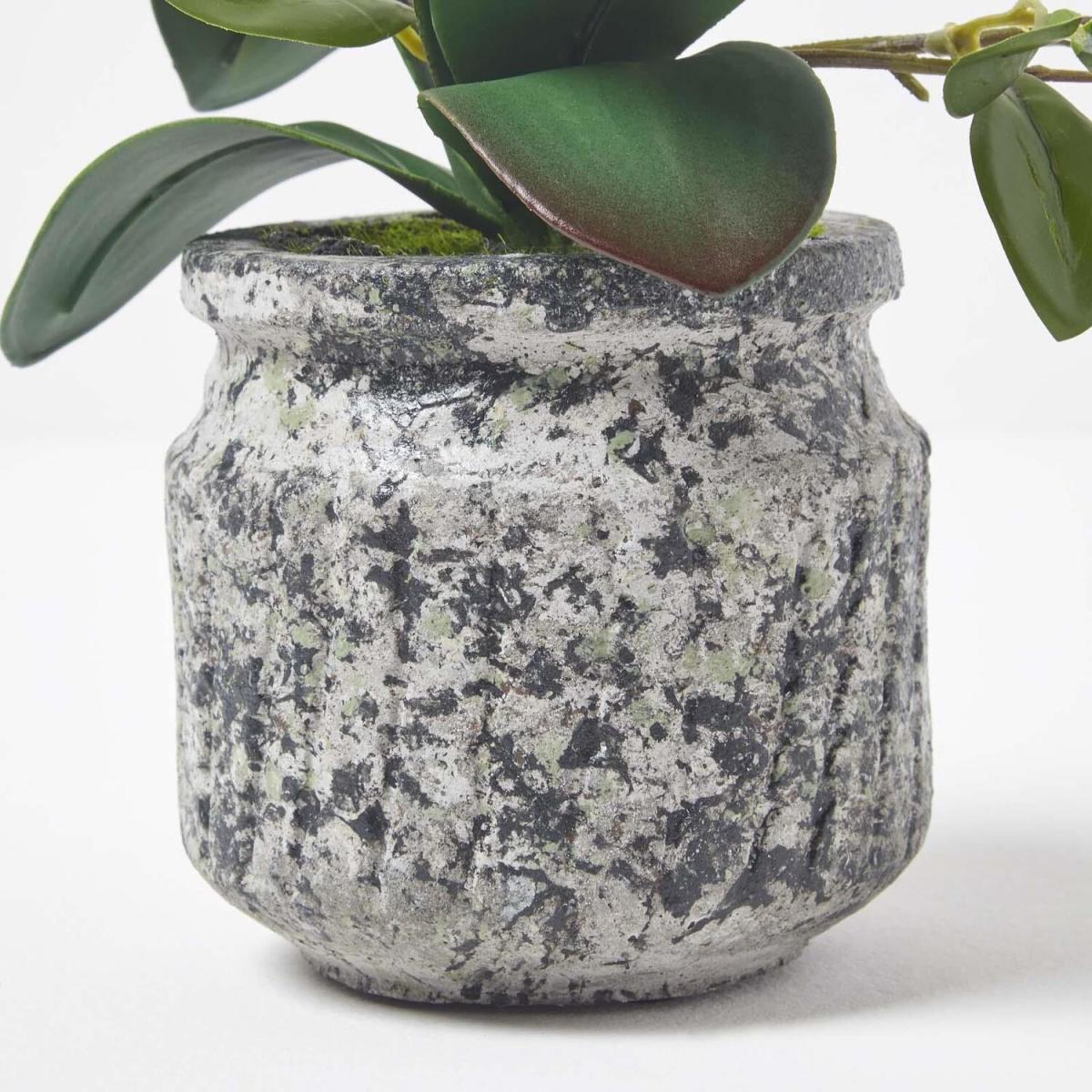 Homescapes 42cm Lifelike Artificial White Orchid in Grey Cement Pot - White – image 4