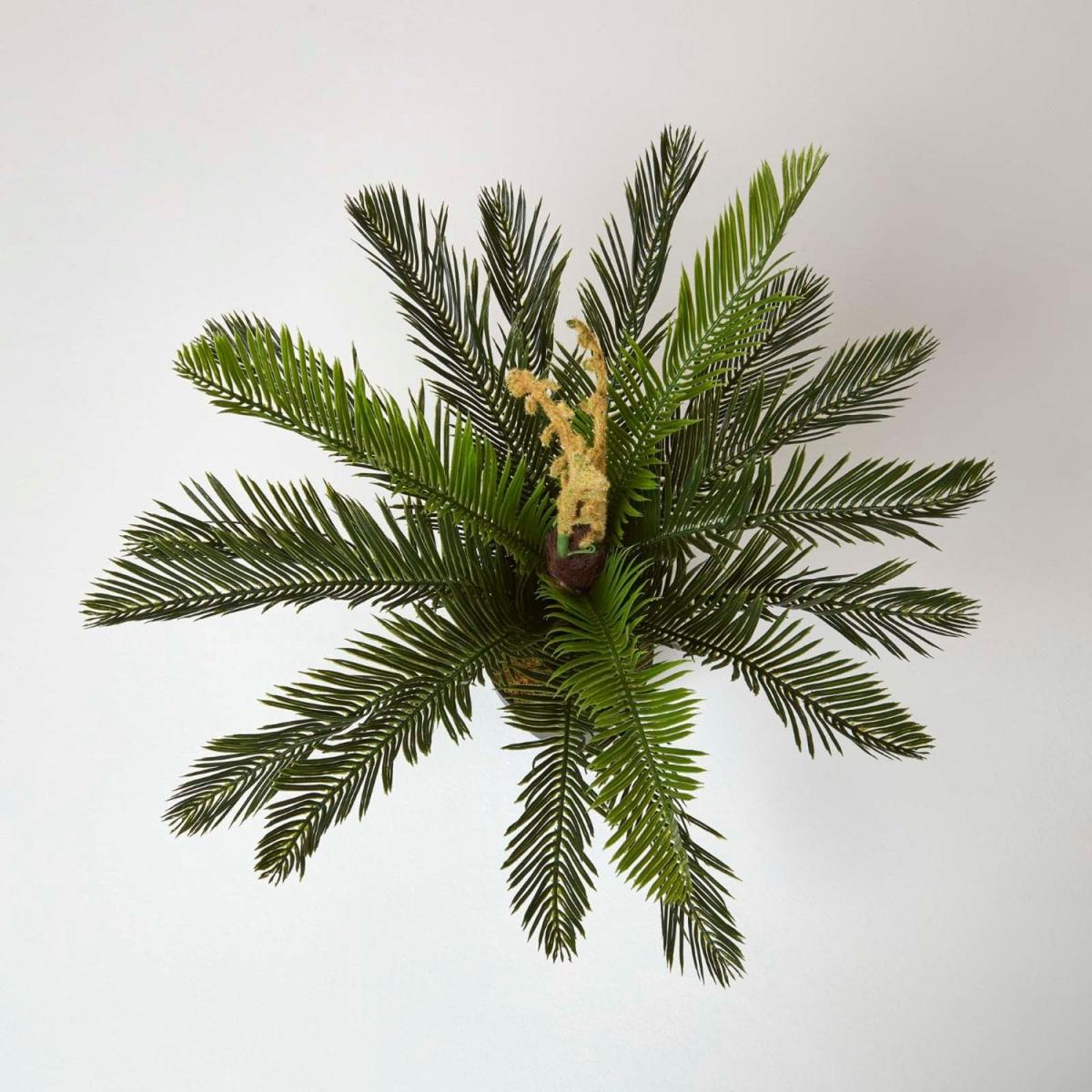 Homescapes Green 'Sago Palm' Artificial Cycas Plant with Pot, 75 cm - Green – image 2