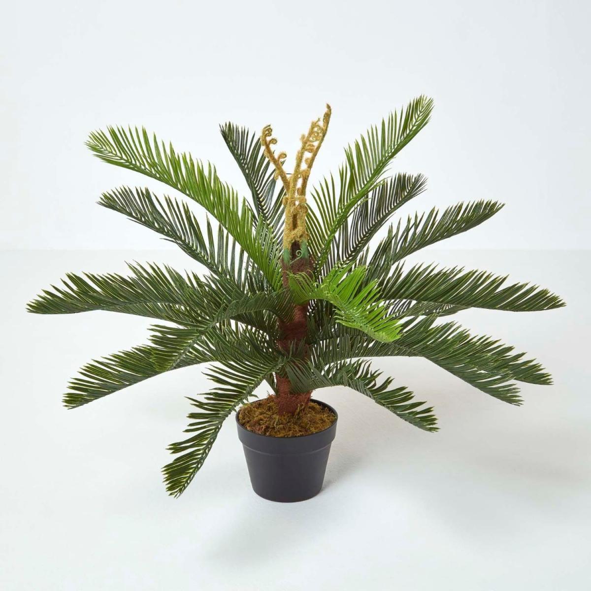 Homescapes Green 'Sago Palm' Artificial Cycas Plant with Pot, 75 cm - Green – image 1