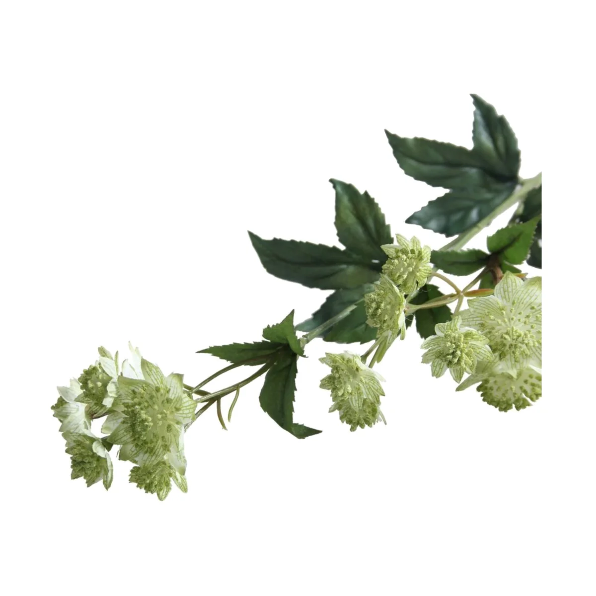 Green Astrantia 2 Pack Artificial Flowers - Green – image 1