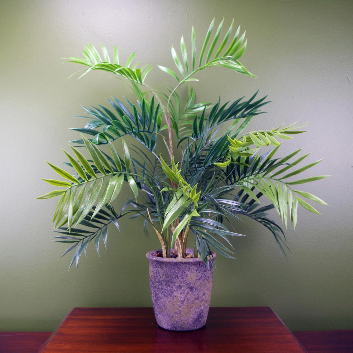 Artificial Mini Tropical Palm in Decorative Planter - Green / 40cm – image 2