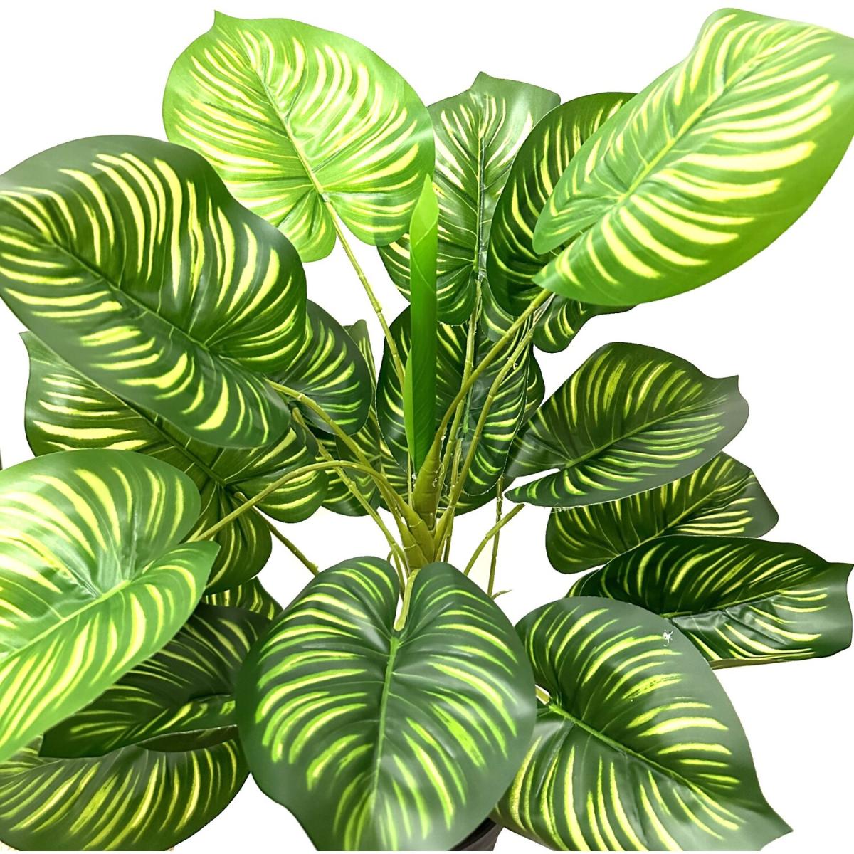 Artificial Variegated Queen of Hearts Plant in Black Pot - Green – image 2