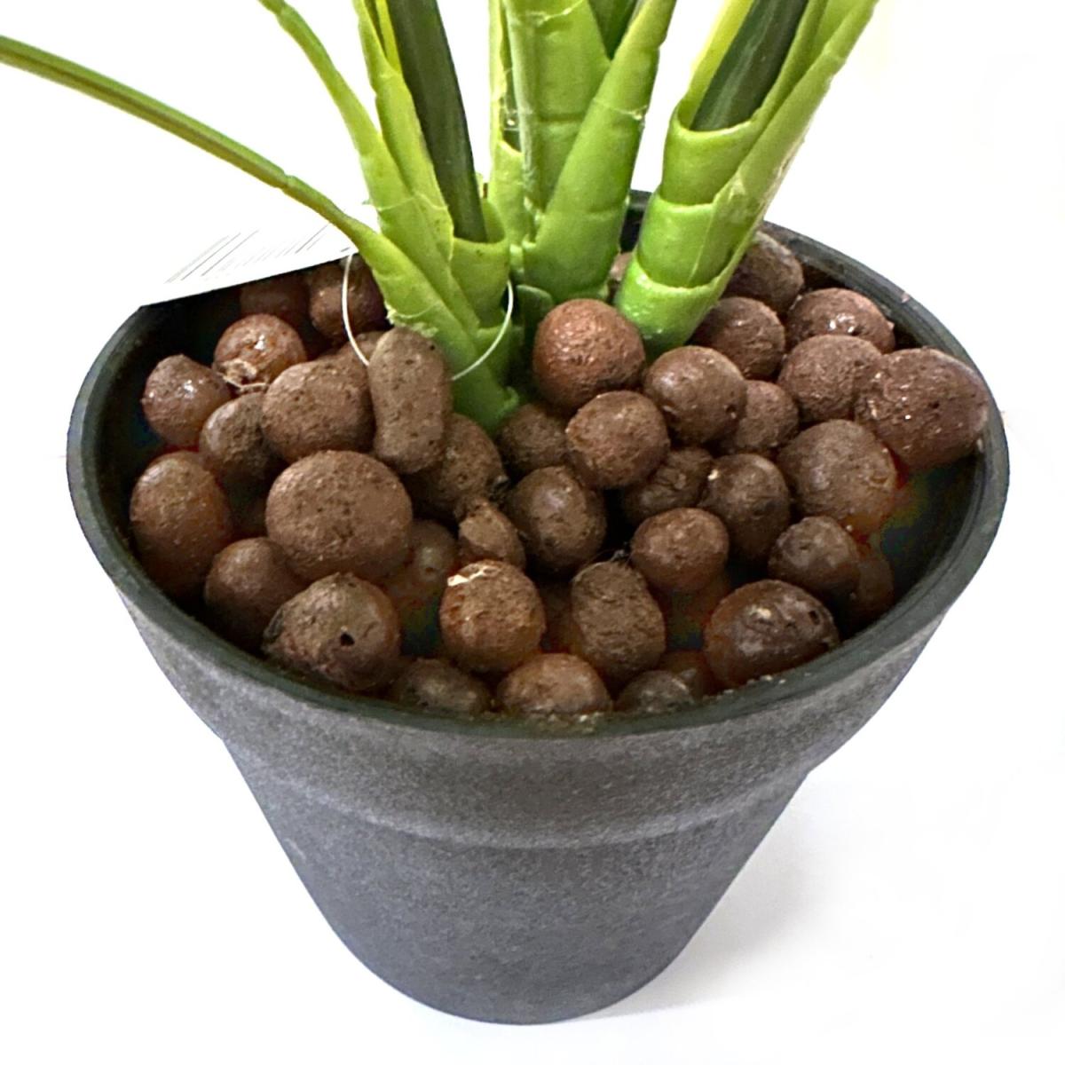 Artificial Variegated Queen of Hearts Plant in Black Pot - Green – image 3