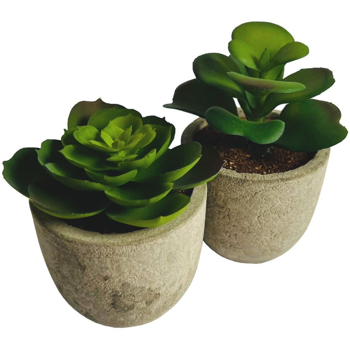 Set of 6 Artificial Succulent Mini Cactus Grass Plants Indoor Decoration – image 2