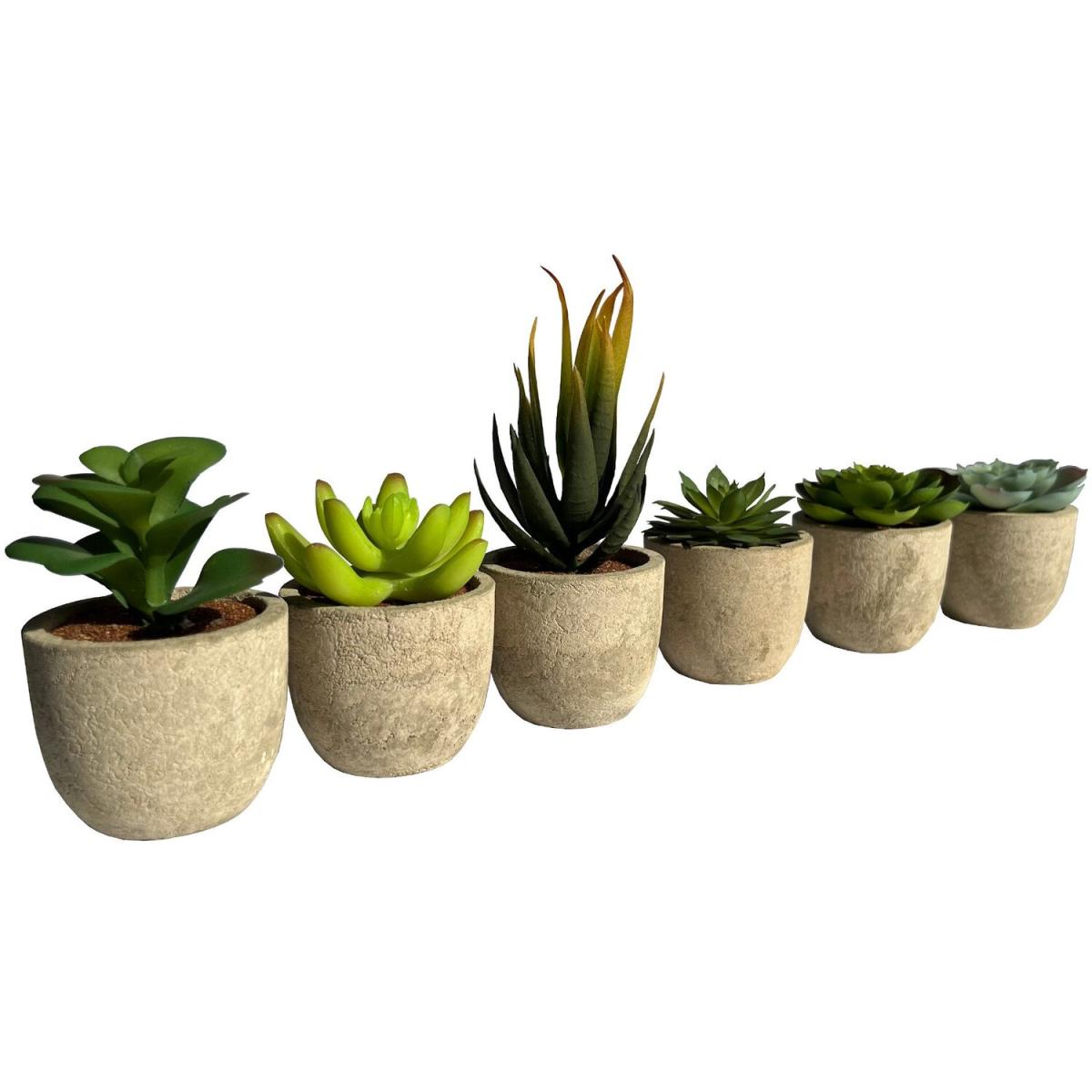 Set of 6 Artificial Succulent Mini Cactus Grass Plants Indoor Decoration – image 4