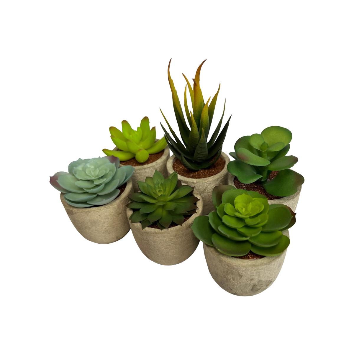 Set of 6 Artificial Succulent Mini Cactus Grass Plants Indoor Decoration – image 1