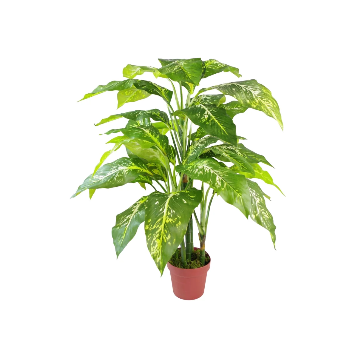 Spotted Evergreen Tree Artificial Plant - Spotted Evergreen Plastic Pot