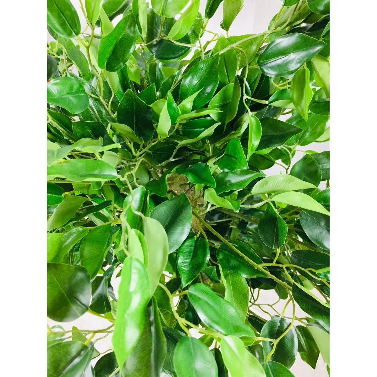 Artificial Ficus Tree With Twisted Trunk - Green – image 4