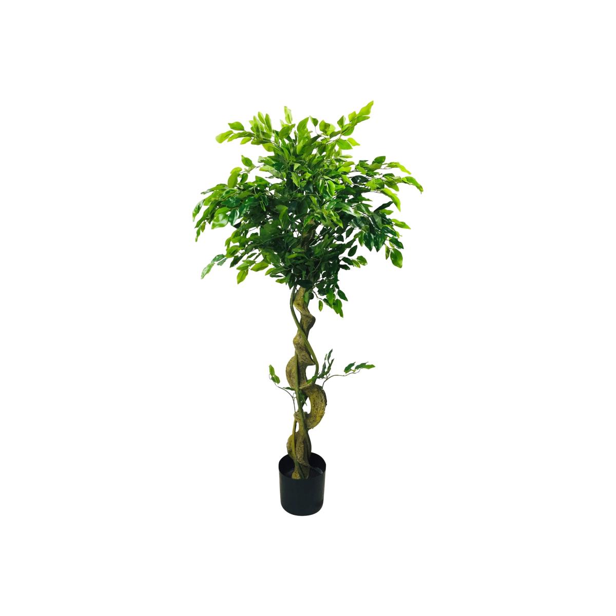 Artificial Ficus Tree With Twisted Trunk - Green – image 1