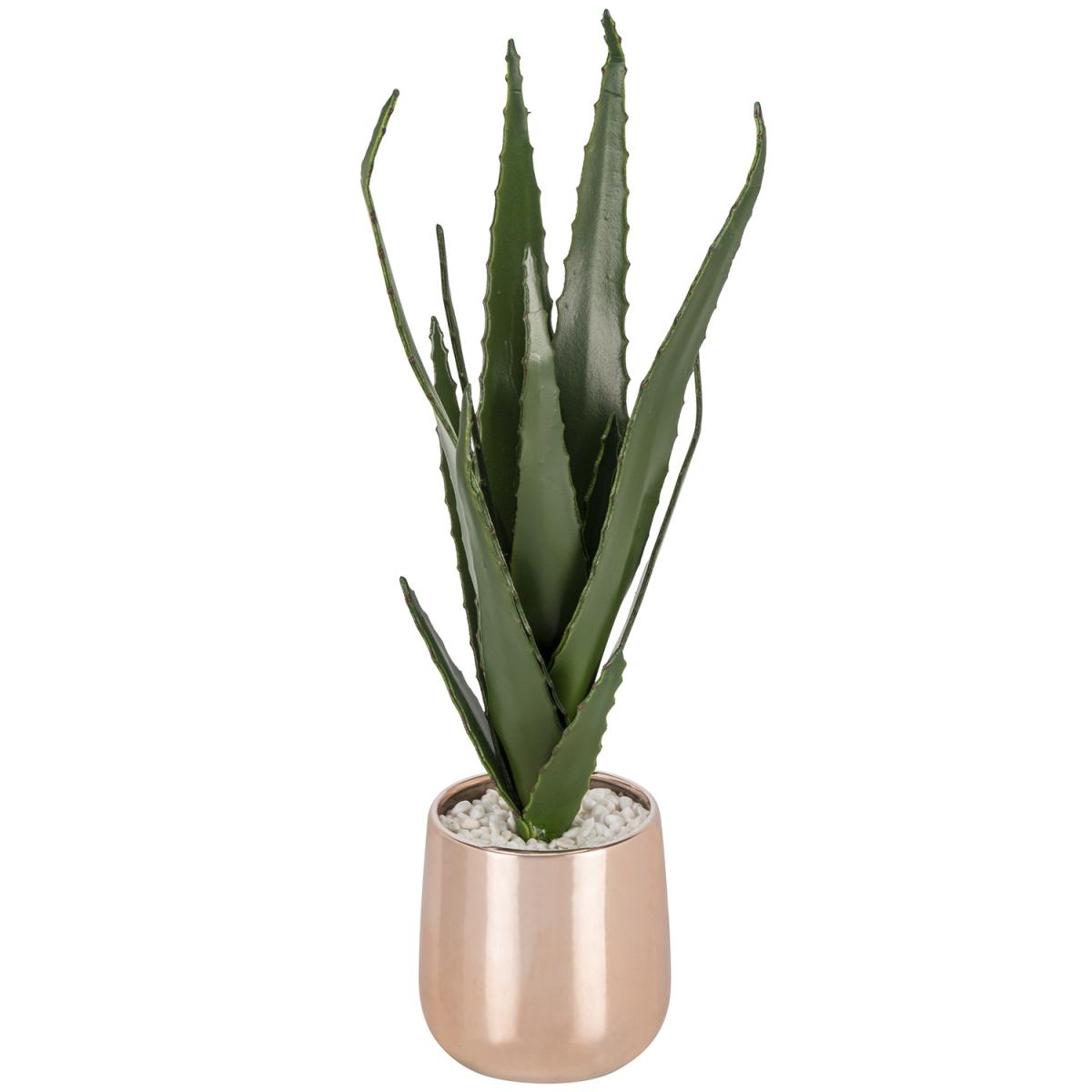 Aloe Vera in Rose Gold Pot – image 2